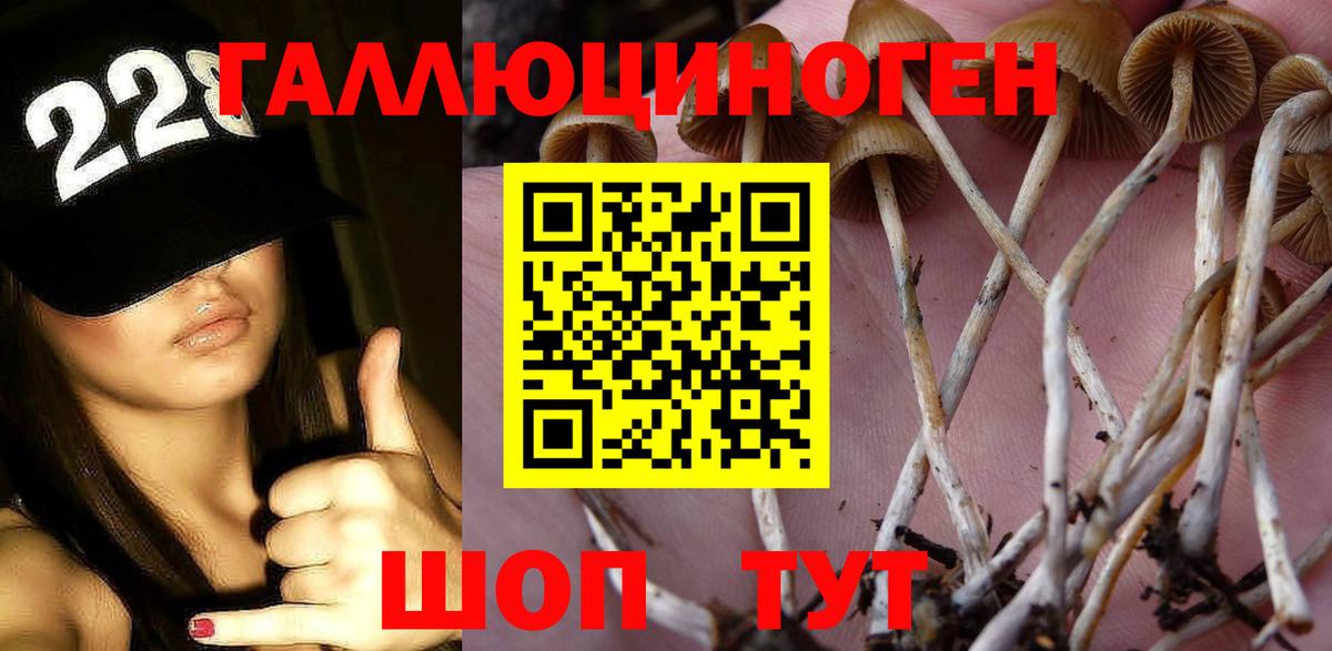 Галлюциногенные грибы Magic Shrooms Осинники